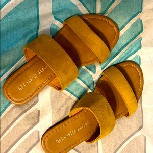 Size 6 Charles Albert sandals